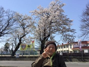 入居者様がお花見をしている様子