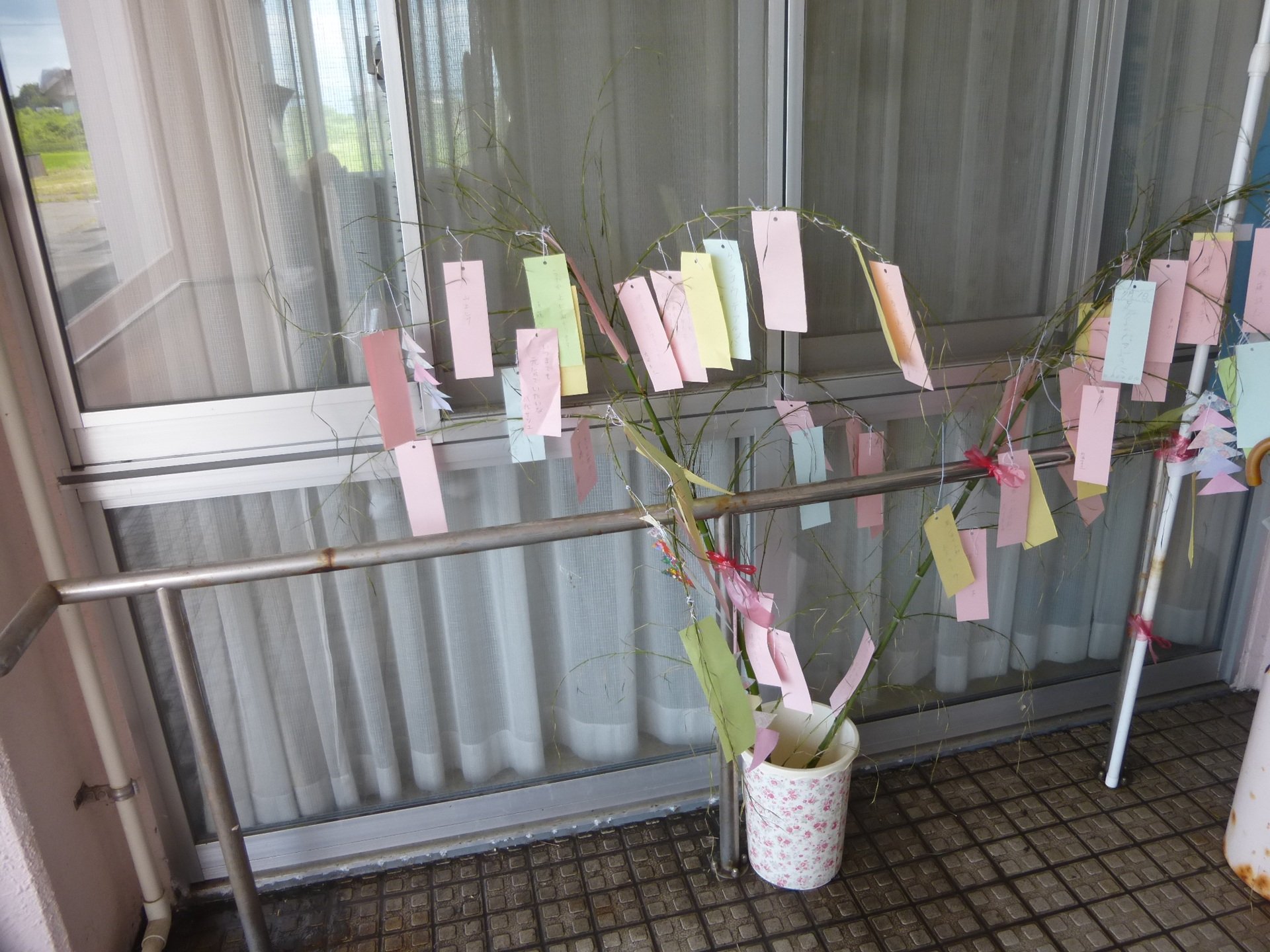 願い事を短冊に書きました。