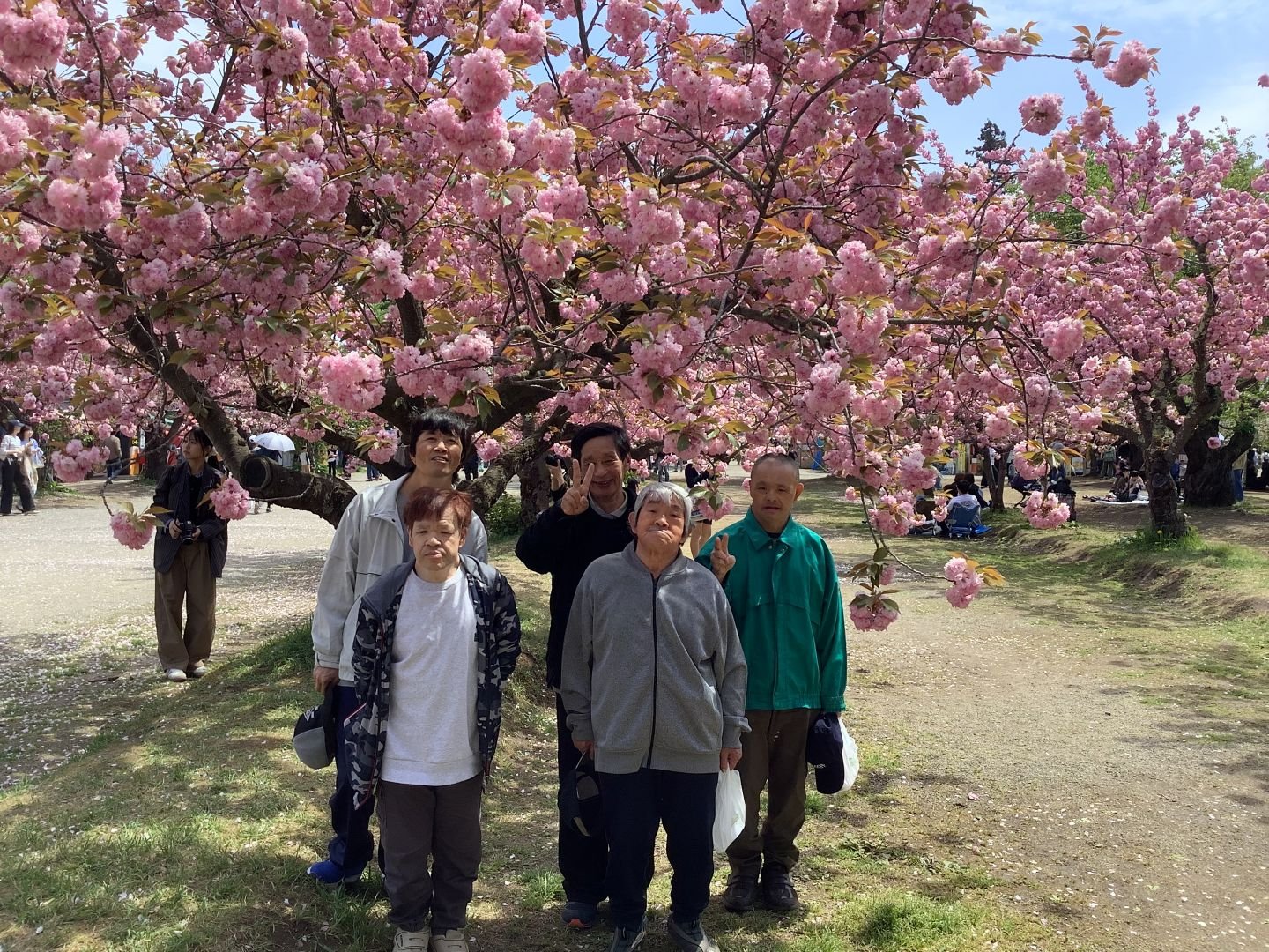 弘前公園散策🌸